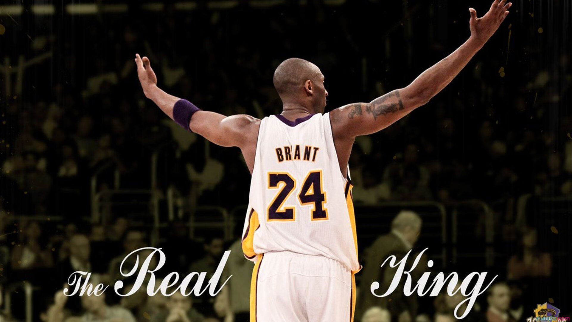 中国篮球的荣耀从汗水开始，中国篮球之路